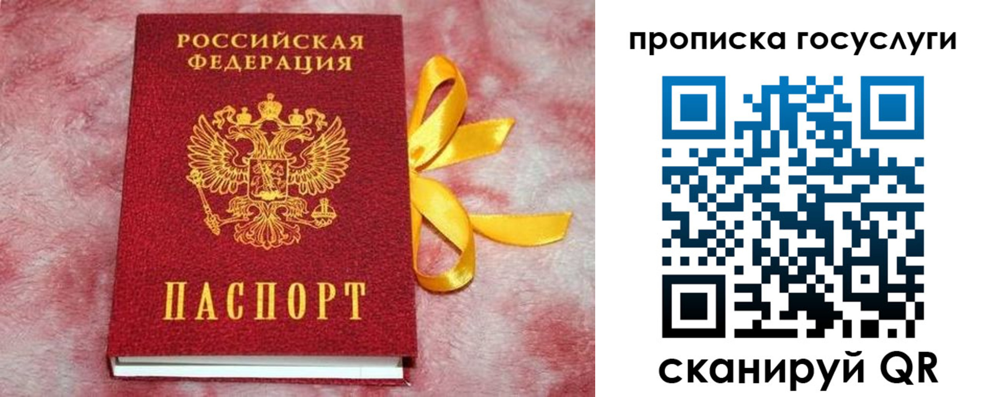 регистрация в Кировске